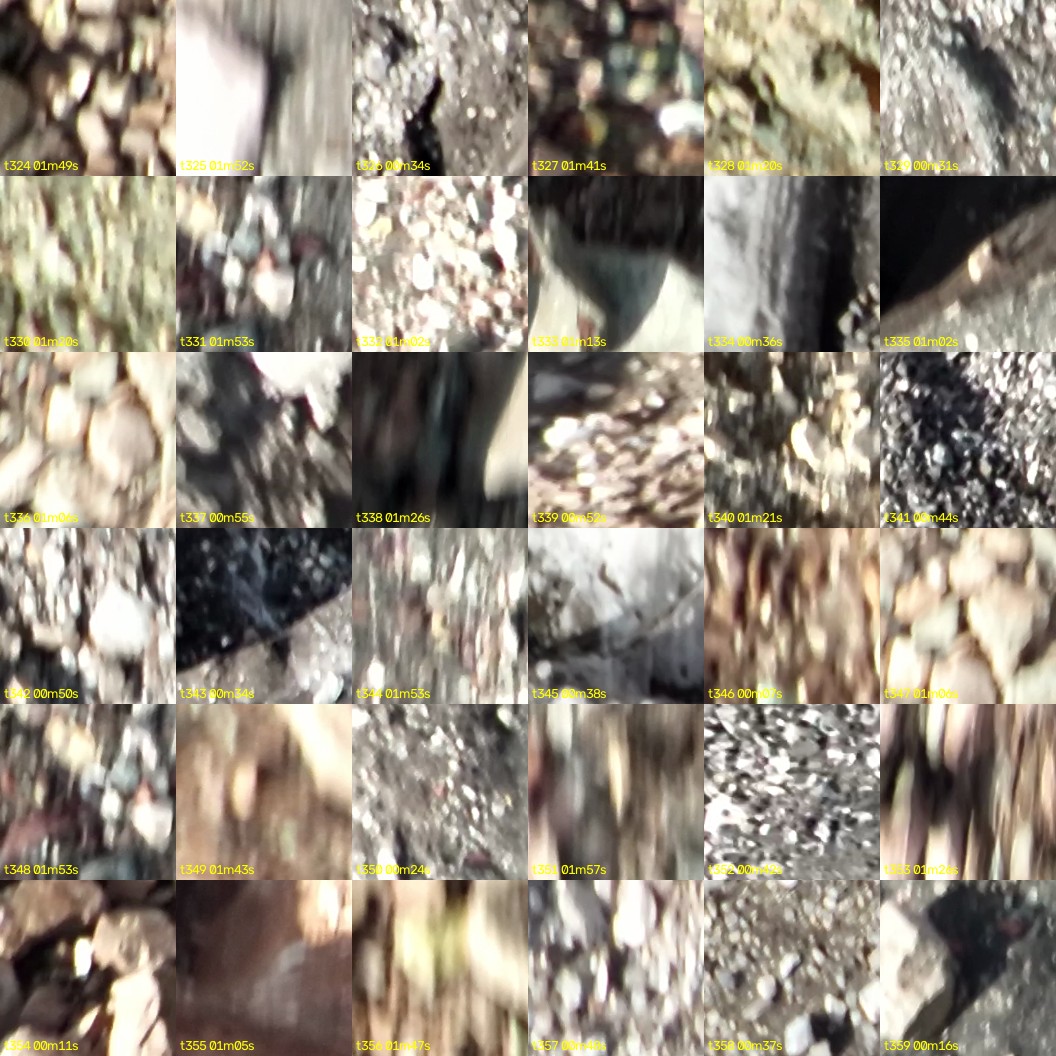 montage_09.jpg