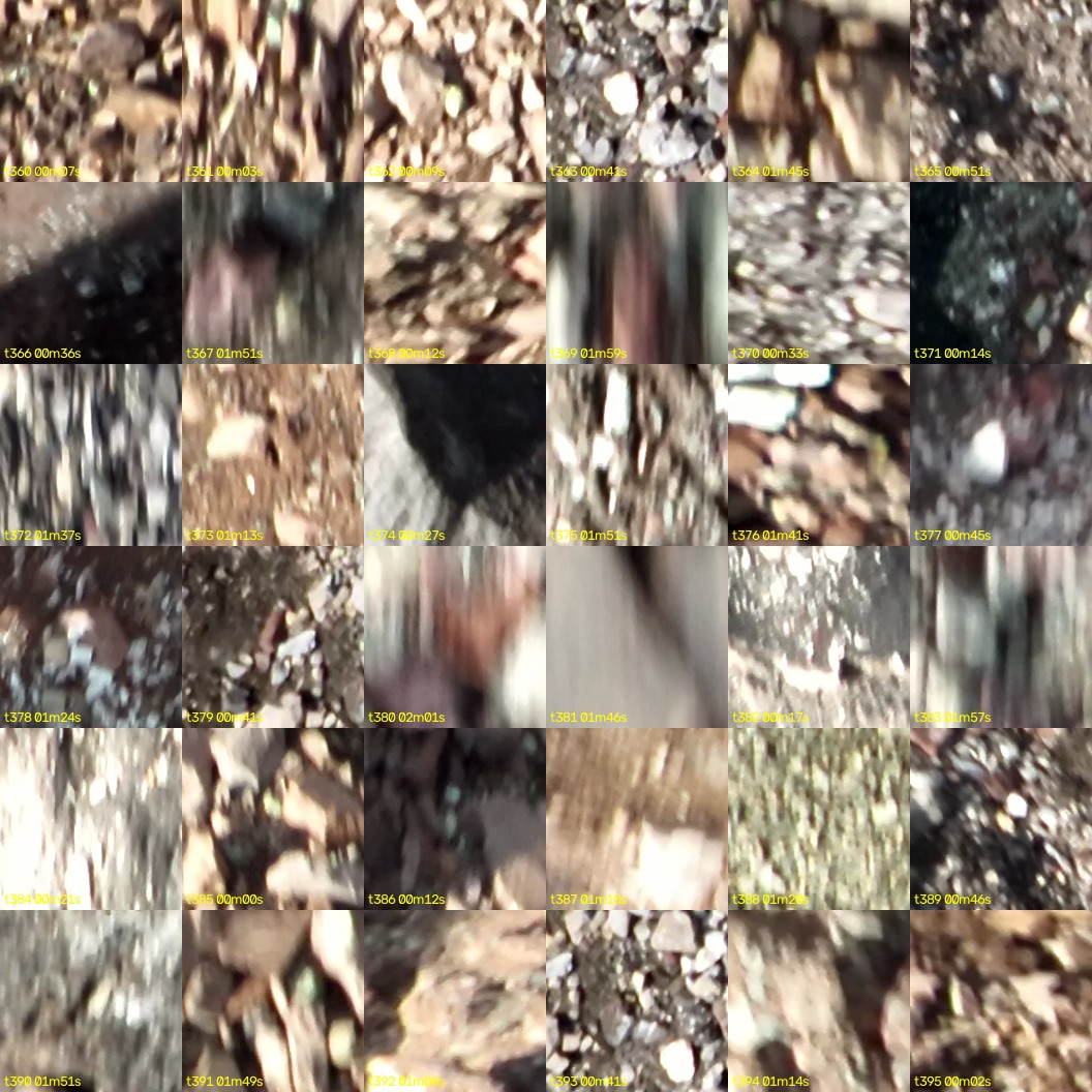 montage_10.jpg
