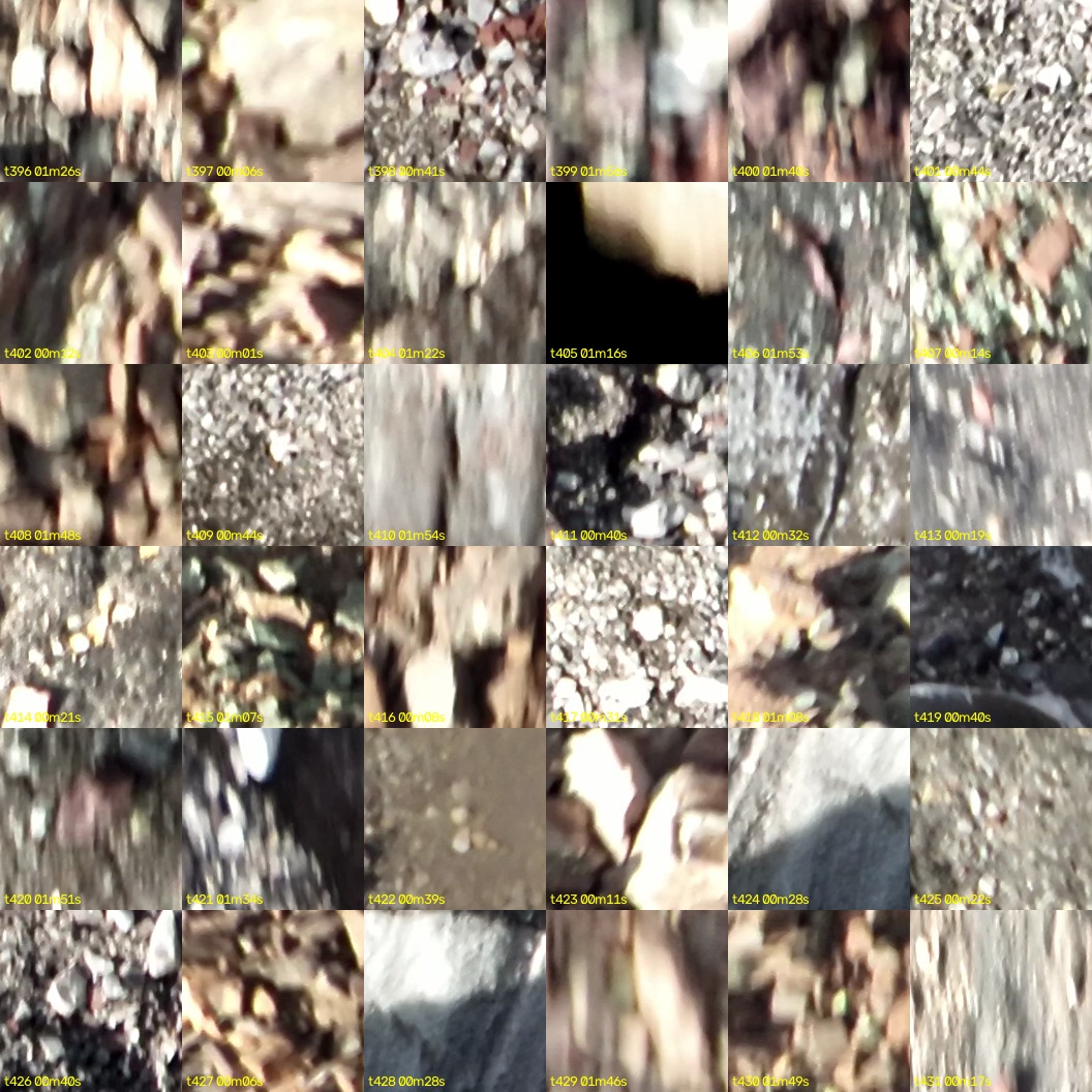 montage_11.jpg