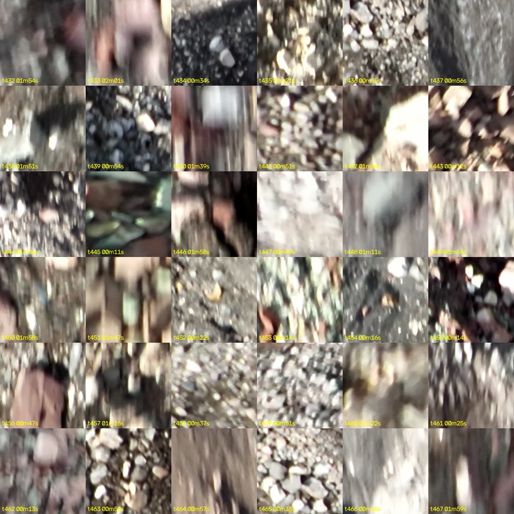 montage_12.jpg