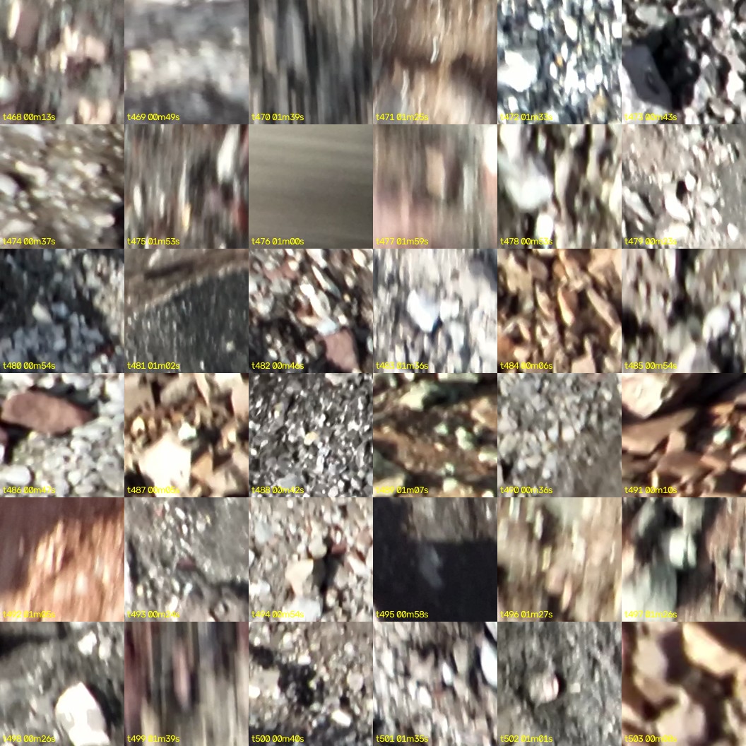montage_13.jpg