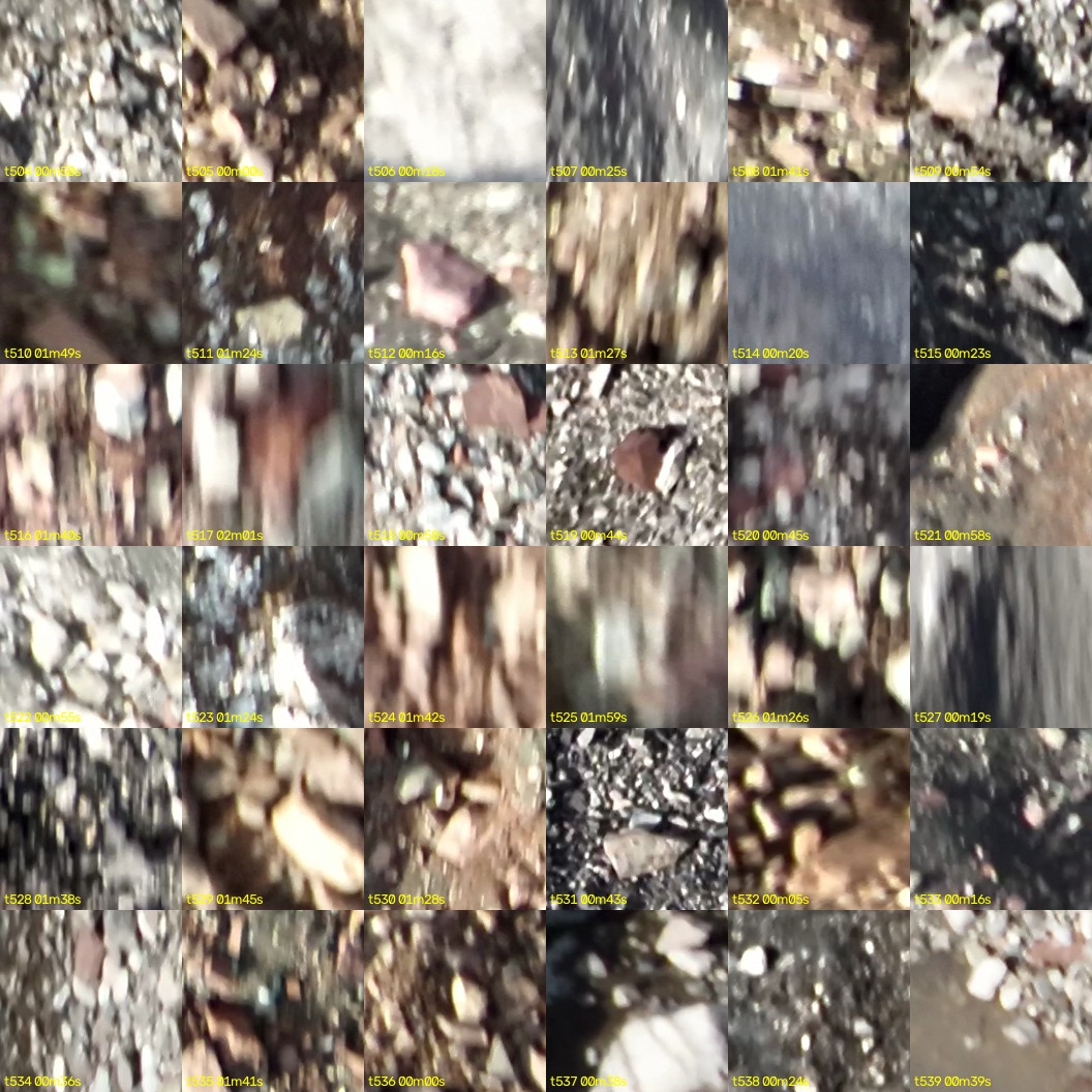 montage_14.jpg