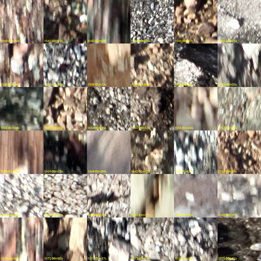 montage_15.jpg