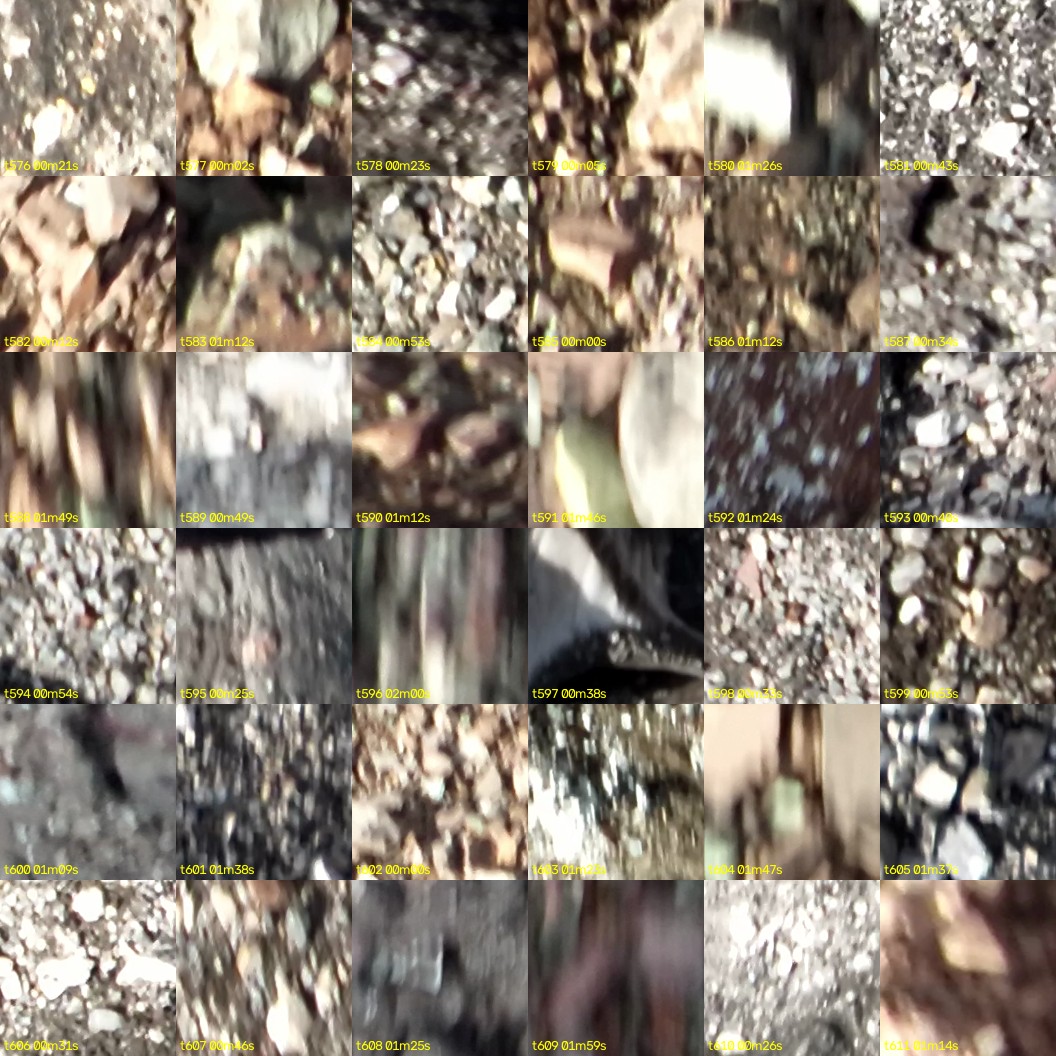 montage_16.jpg