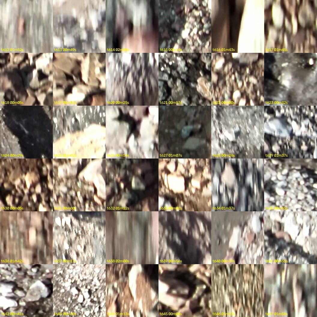 montage_17.jpg