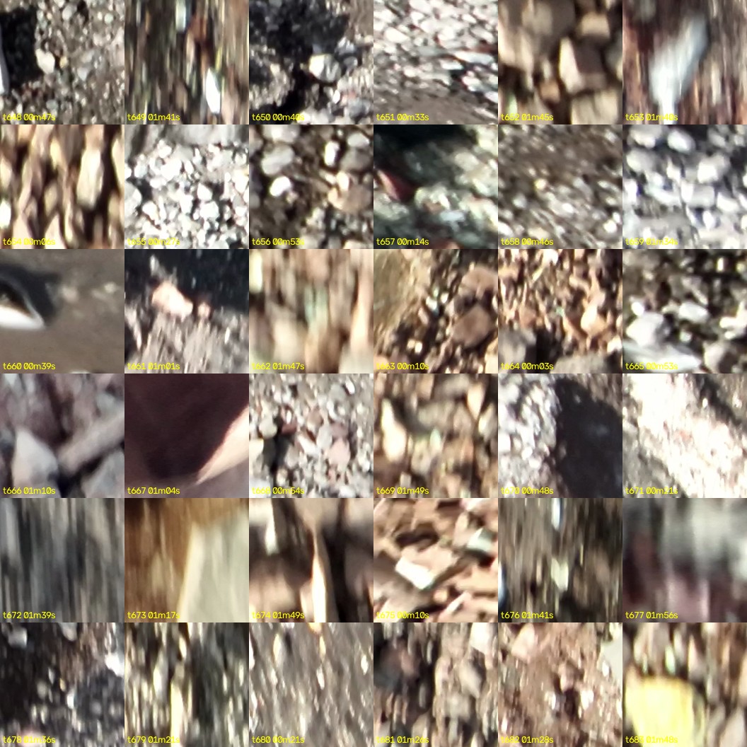 montage_18.jpg