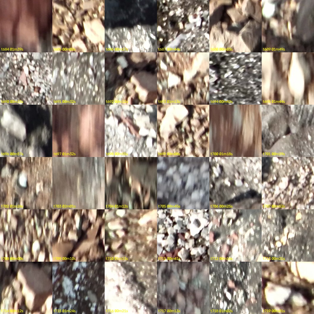 montage_19.jpg