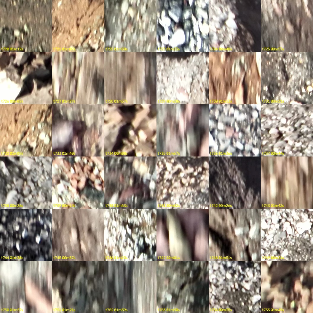 montage_20.jpg
