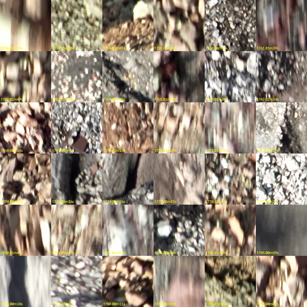 montage_21.jpg