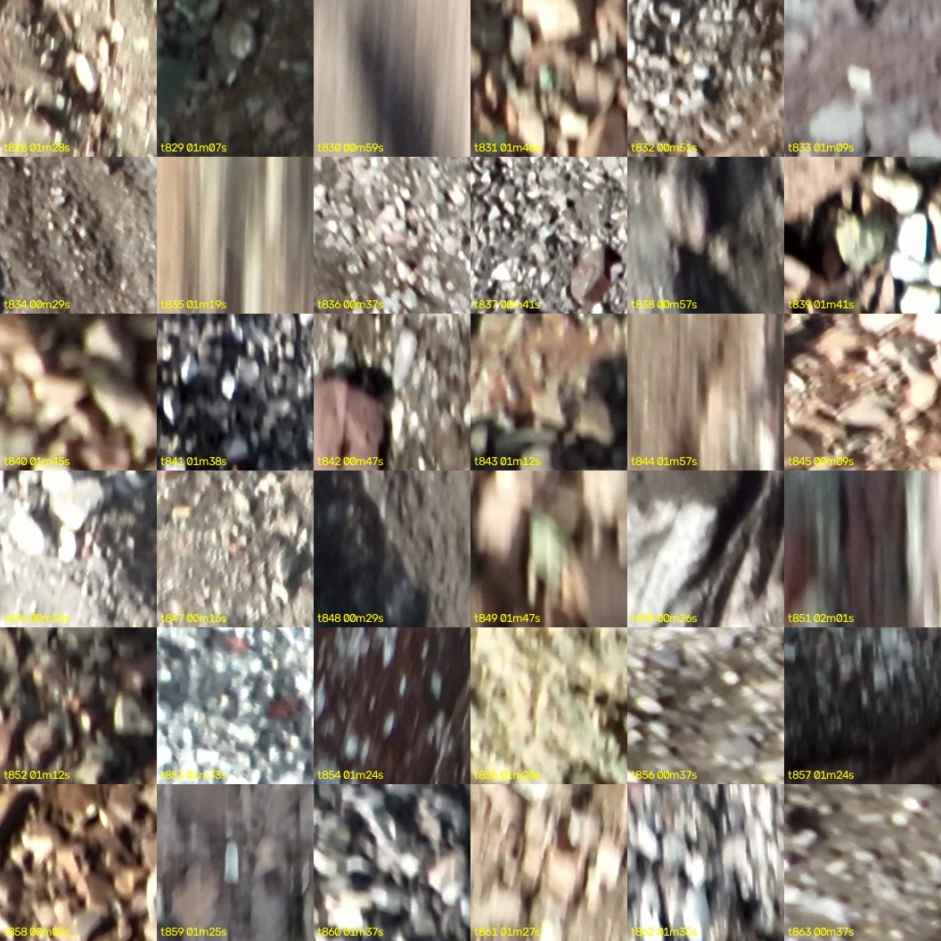 montage_23.jpg