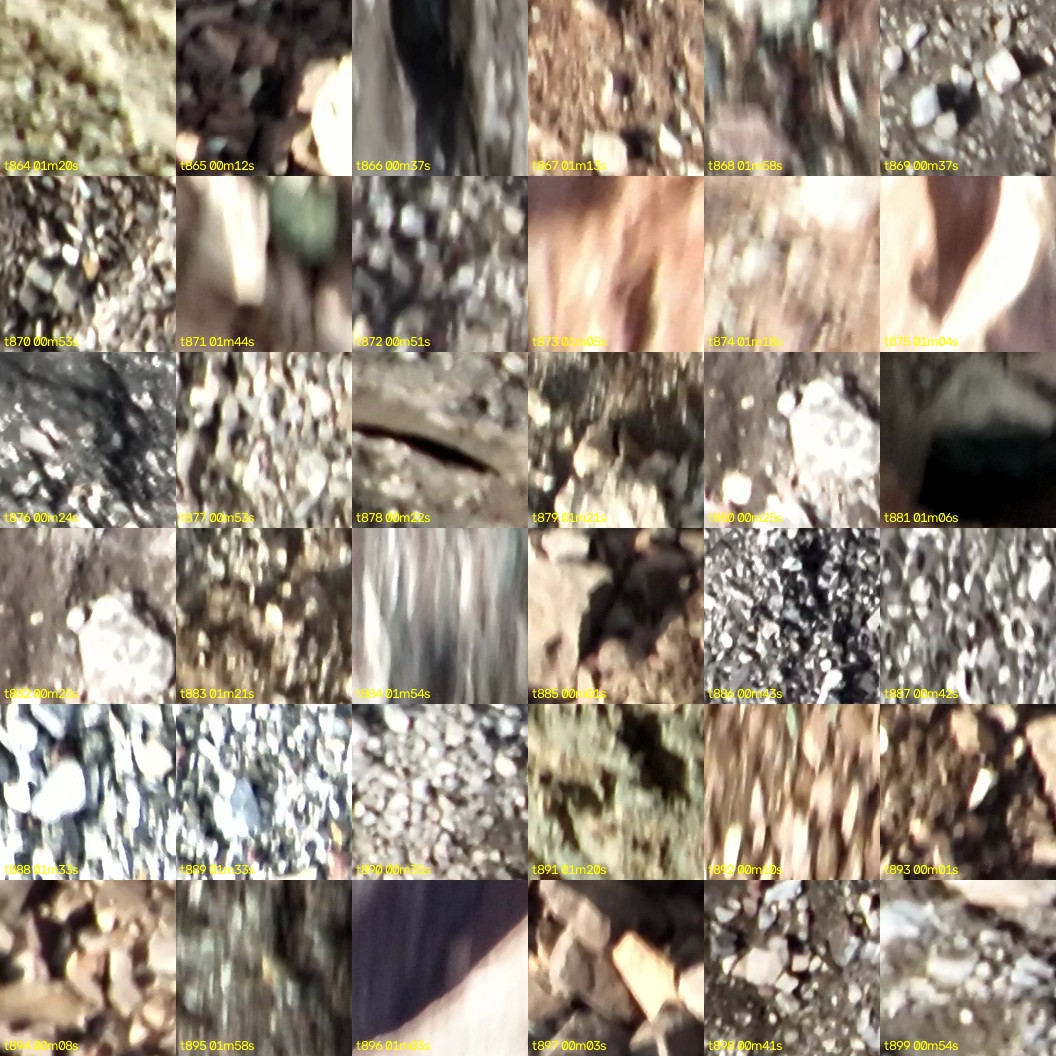 montage_24.jpg