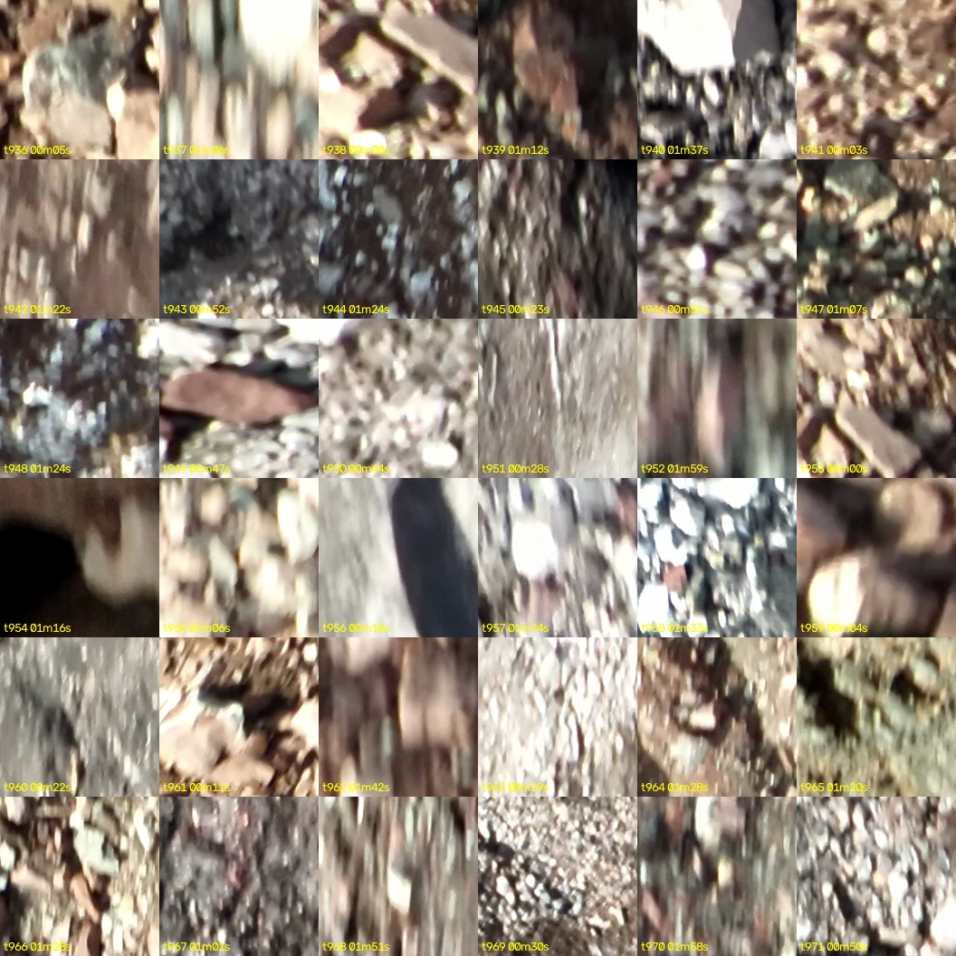 montage_26.jpg