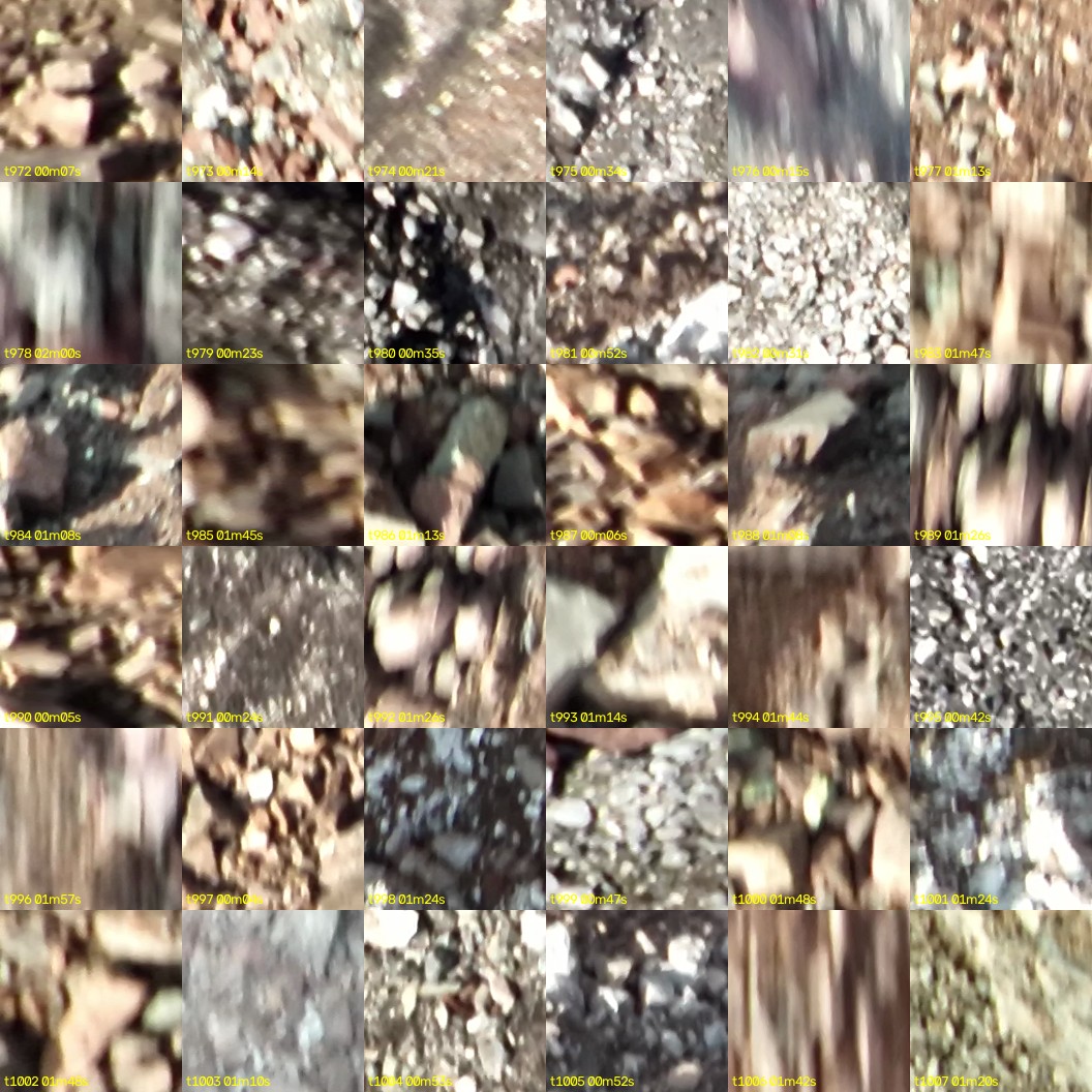 montage_27.jpg