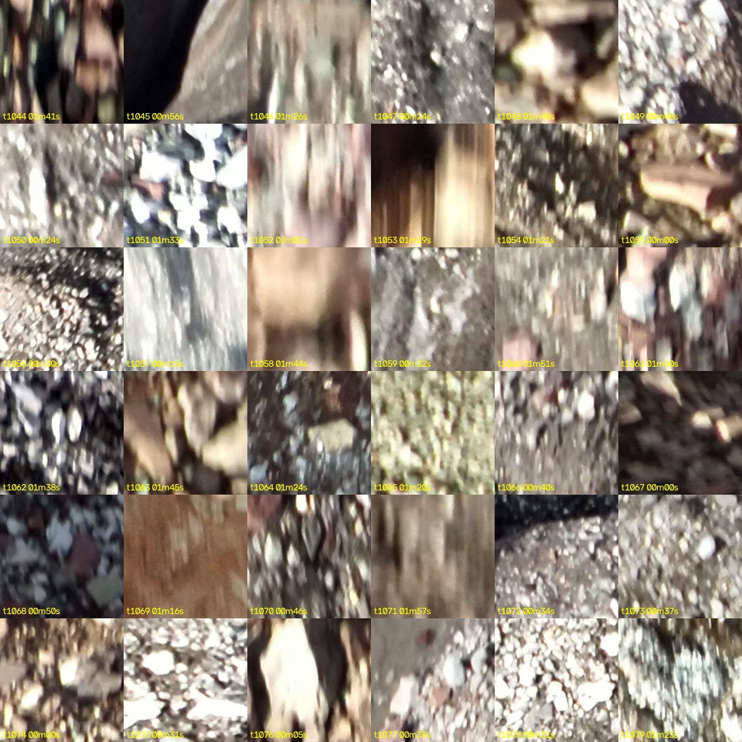 montage_29.jpg