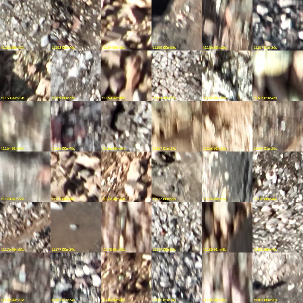 montage_32.jpg
