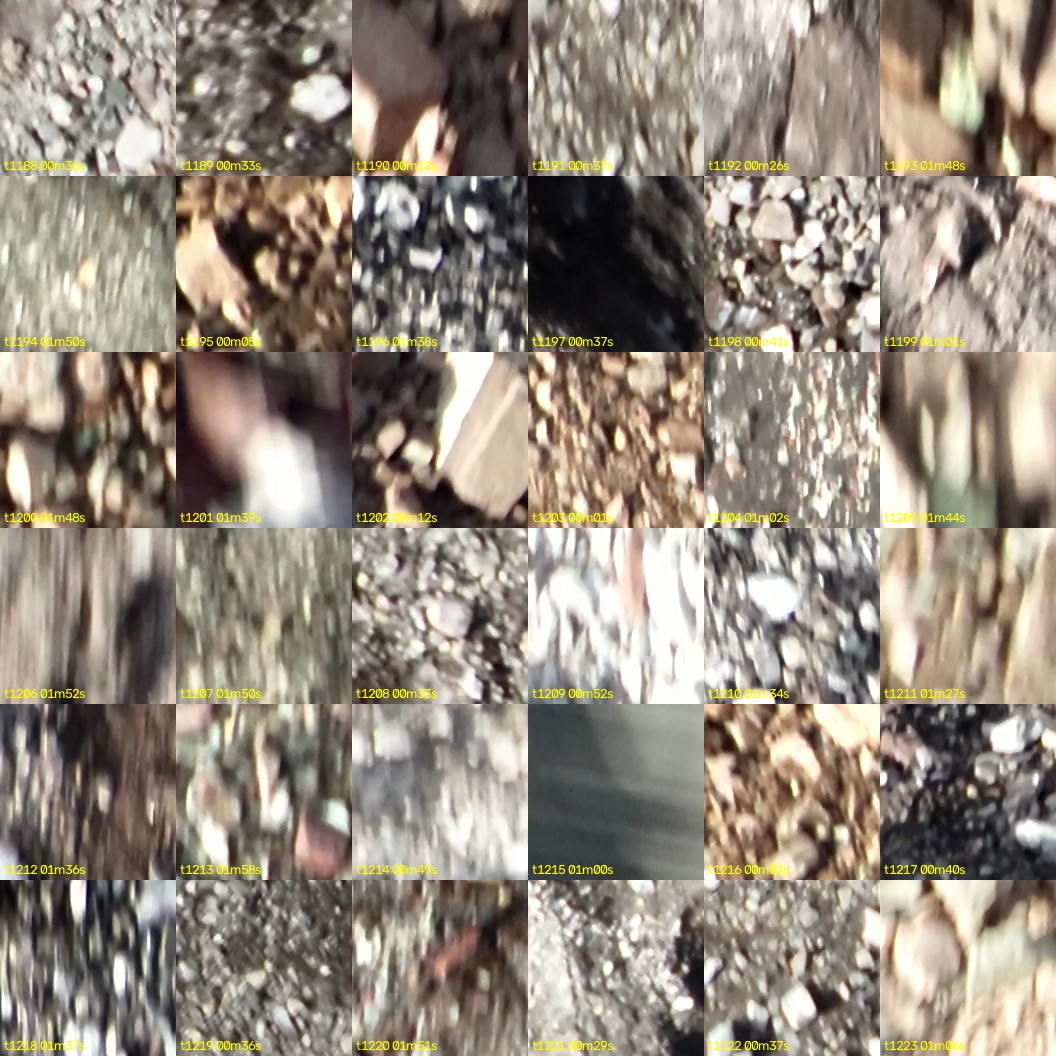 montage_33.jpg