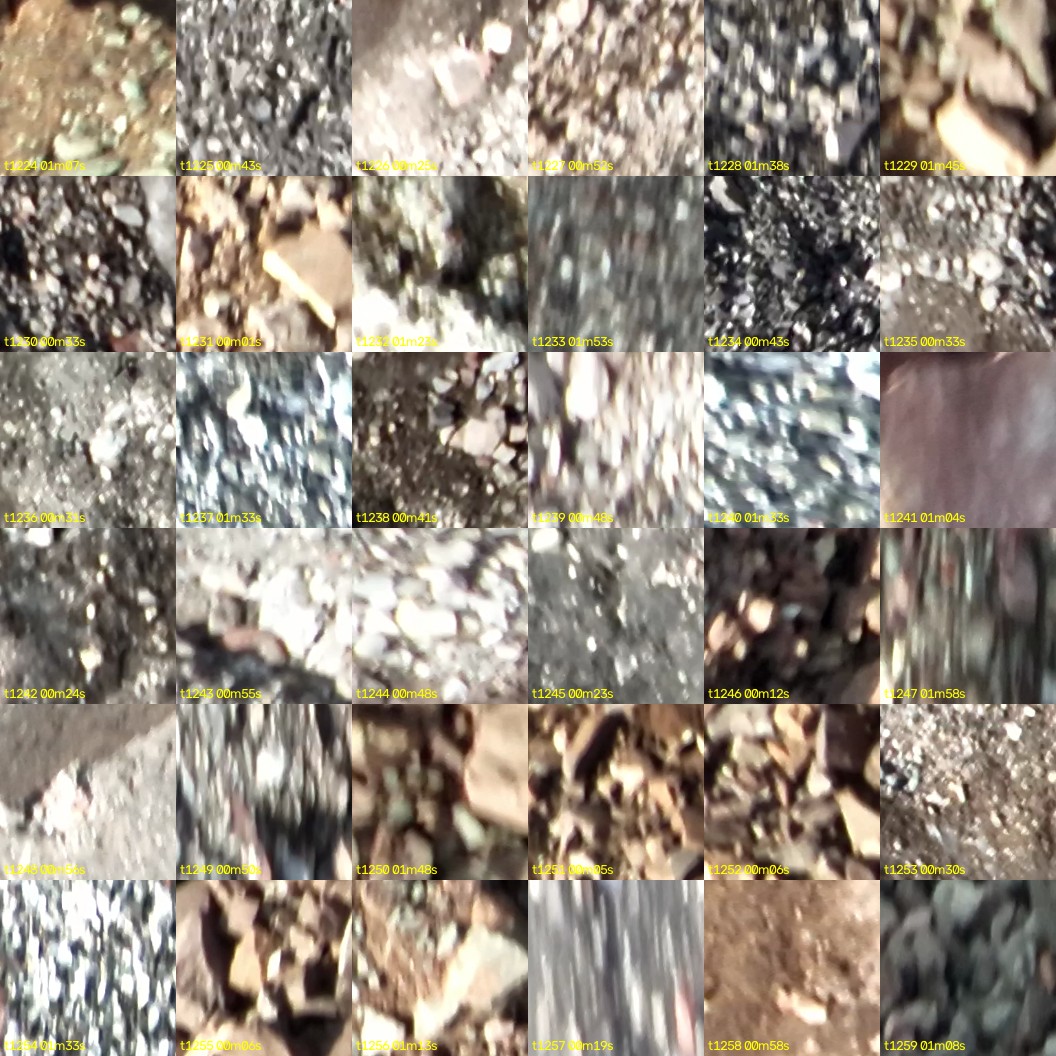montage_34.jpg
