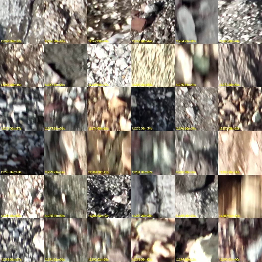montage_35.jpg