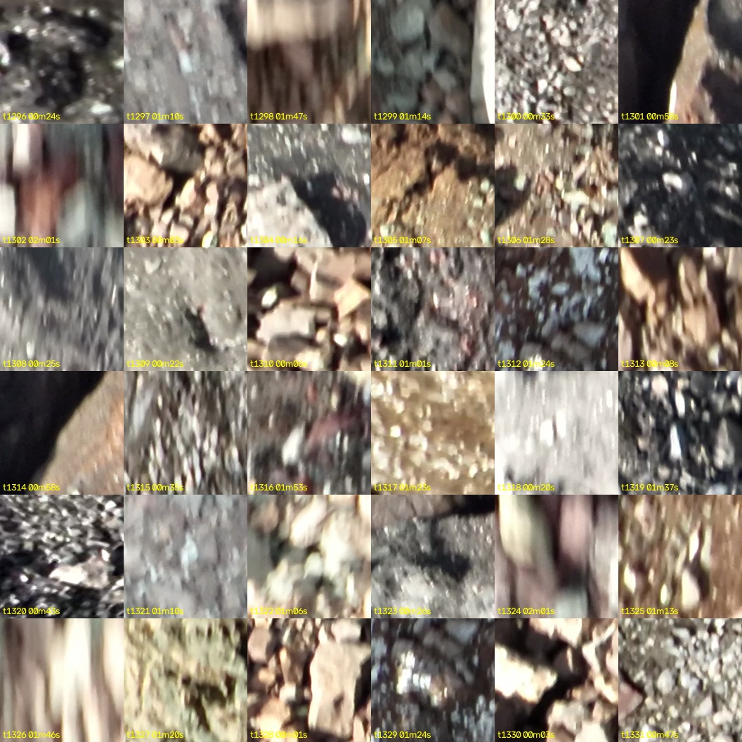 montage_36.jpg