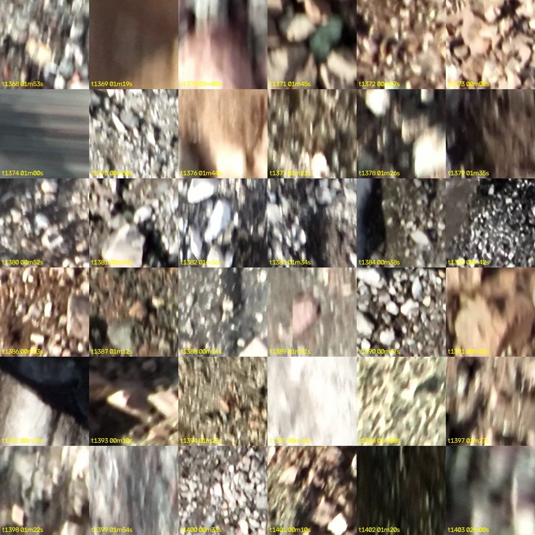montage_38.jpg