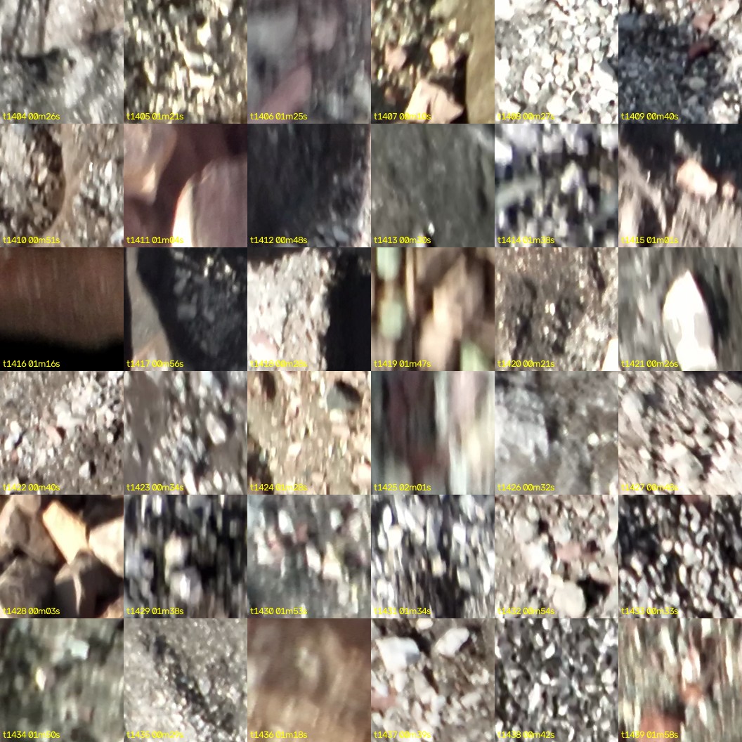 montage_39.jpg