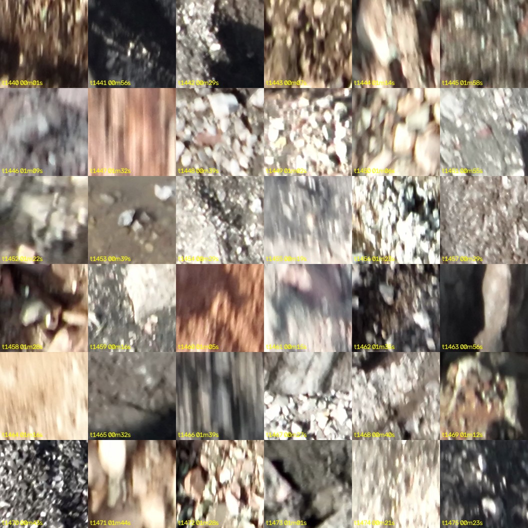 montage_40.jpg