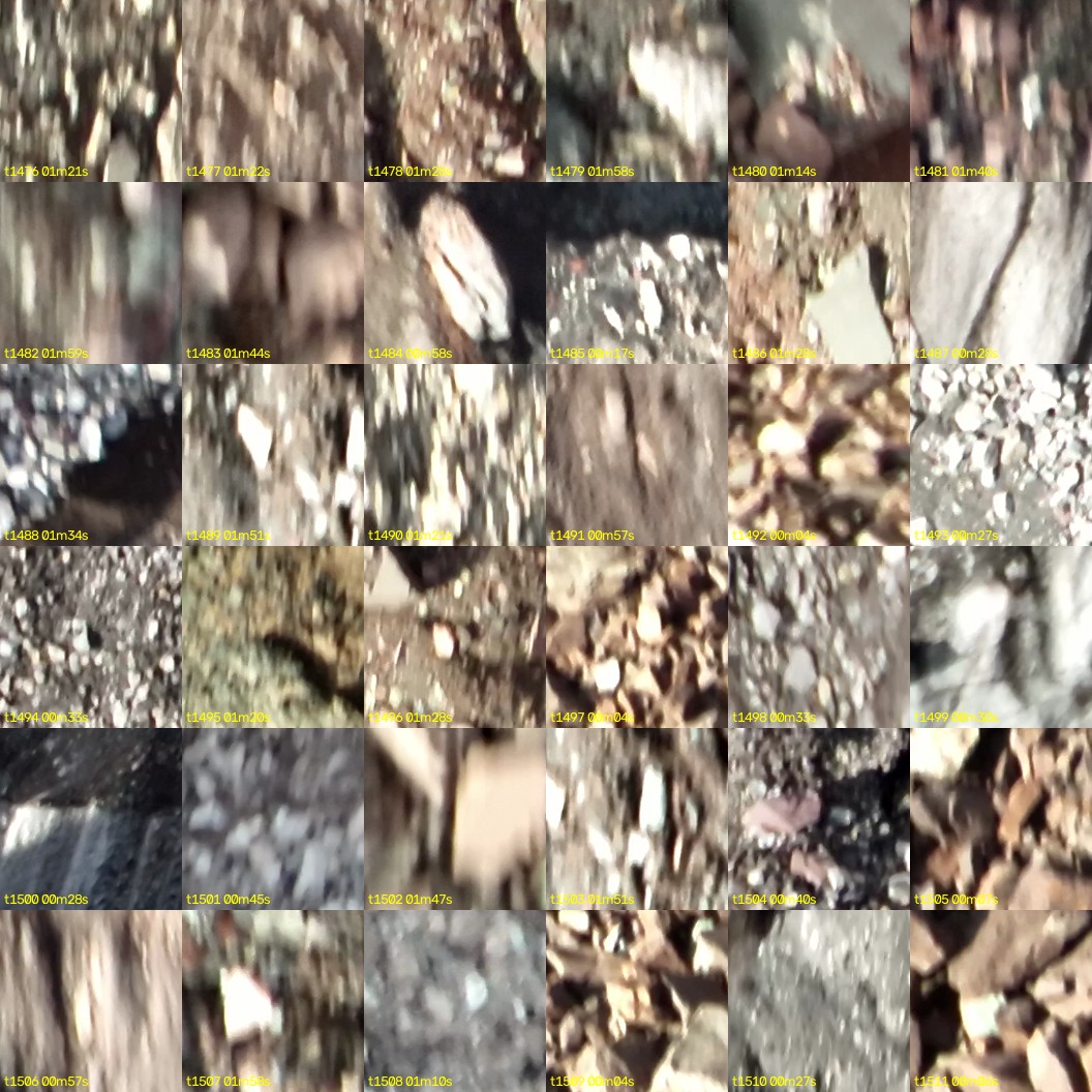montage_41.jpg