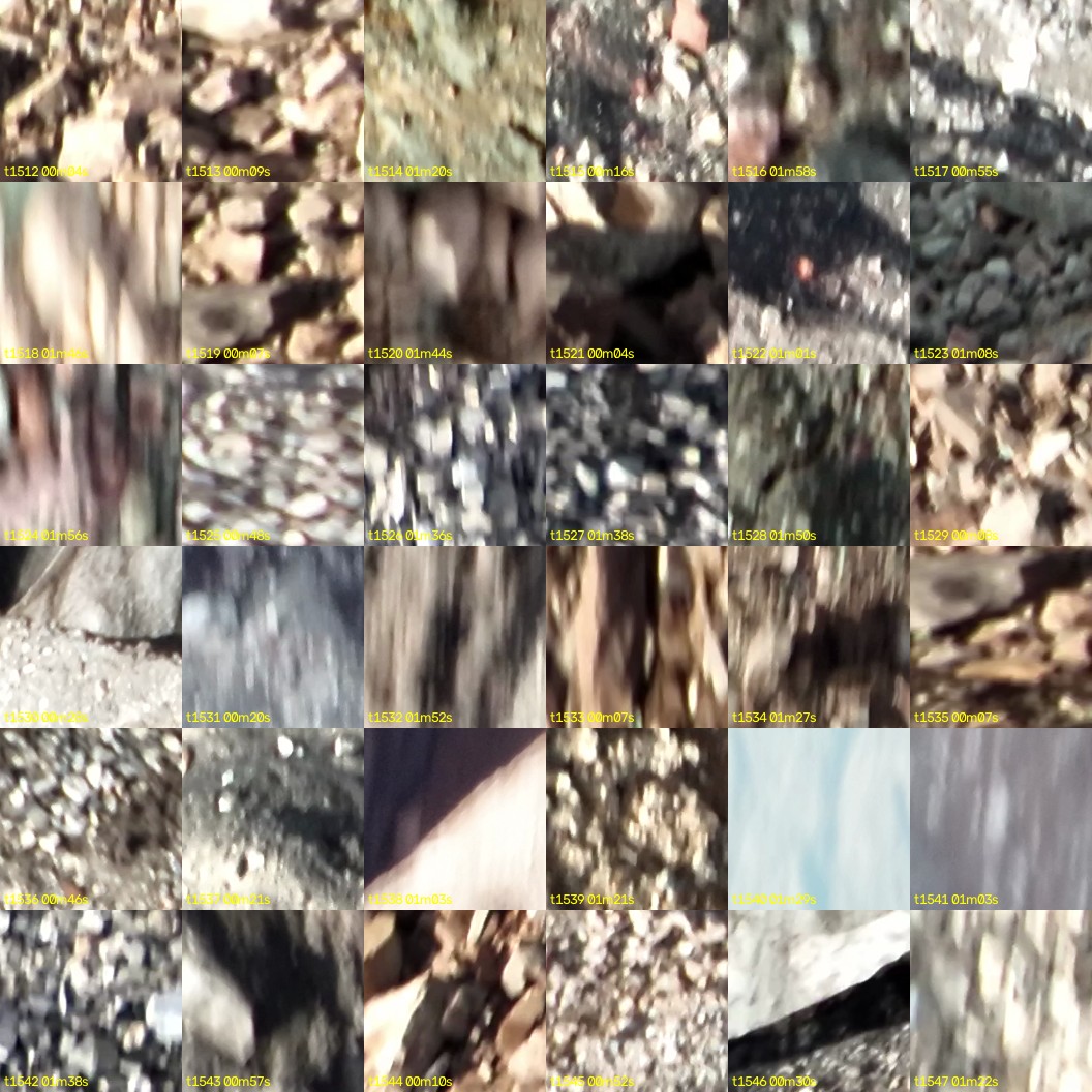 montage_42.jpg