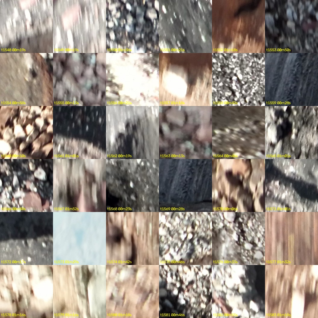 montage_43.jpg