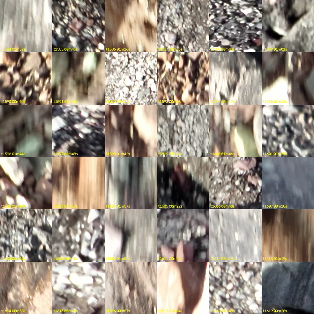 montage_44.jpg
