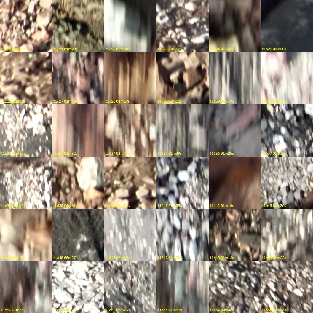 montage_45.jpg