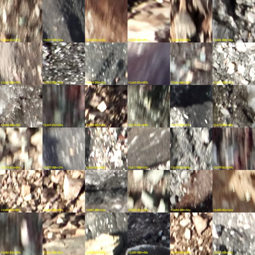 montage_46.jpg