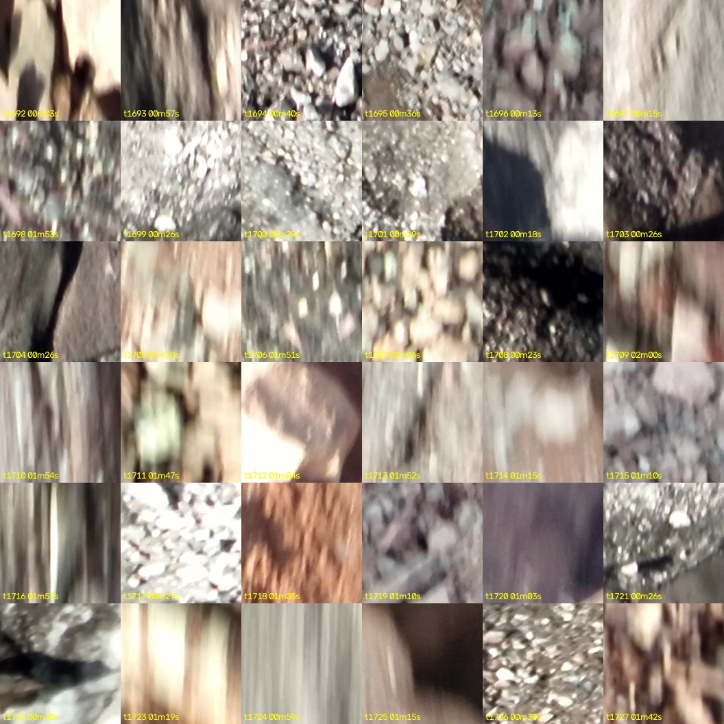 montage_47.jpg