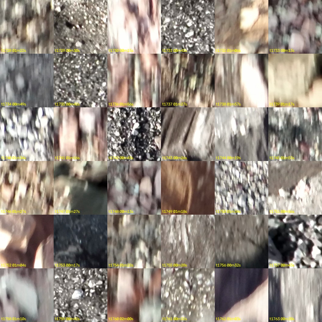 montage_48.jpg