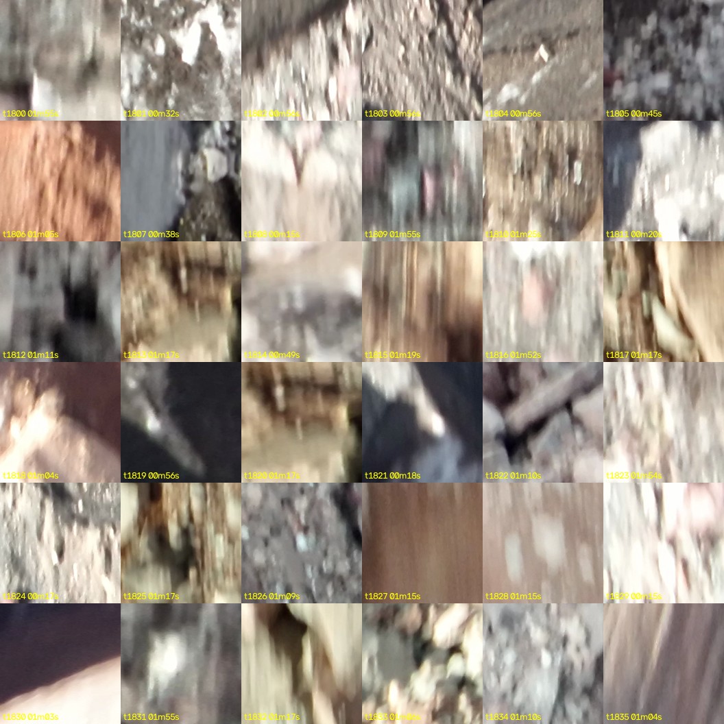 montage_50.jpg