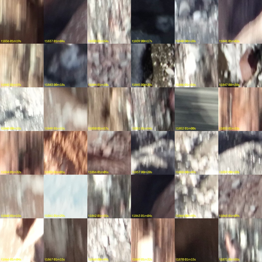 montage_51.jpg