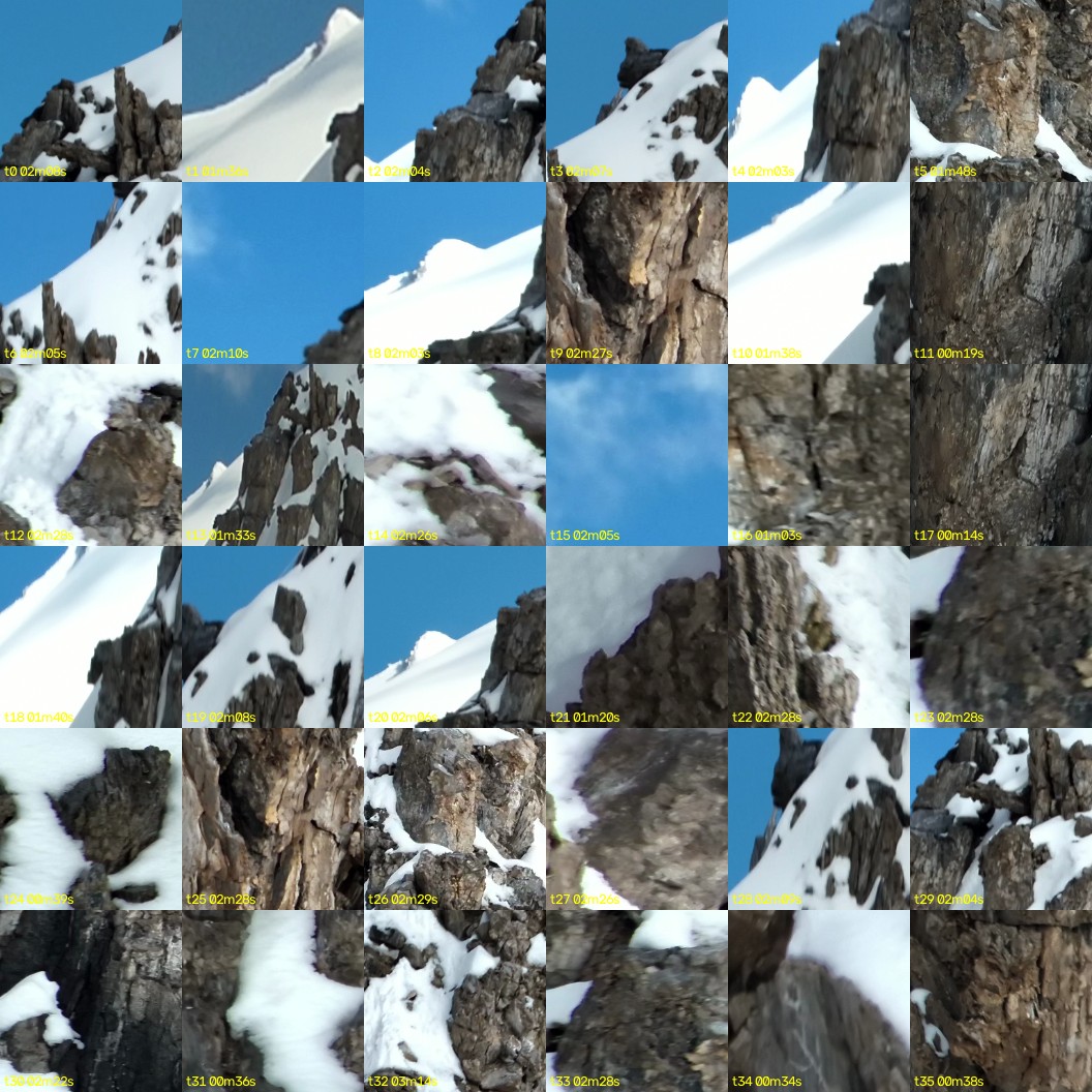 montage_00.jpg