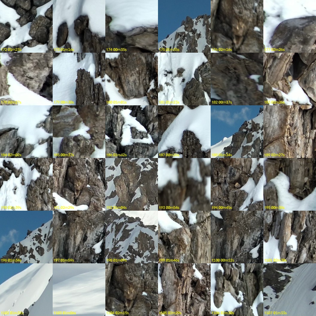 montage_02.jpg