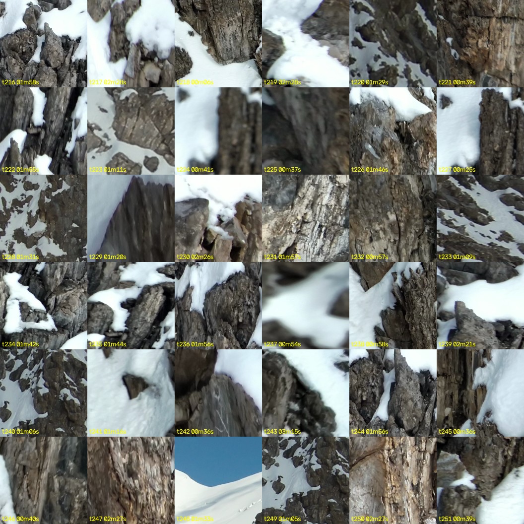 montage_06.jpg