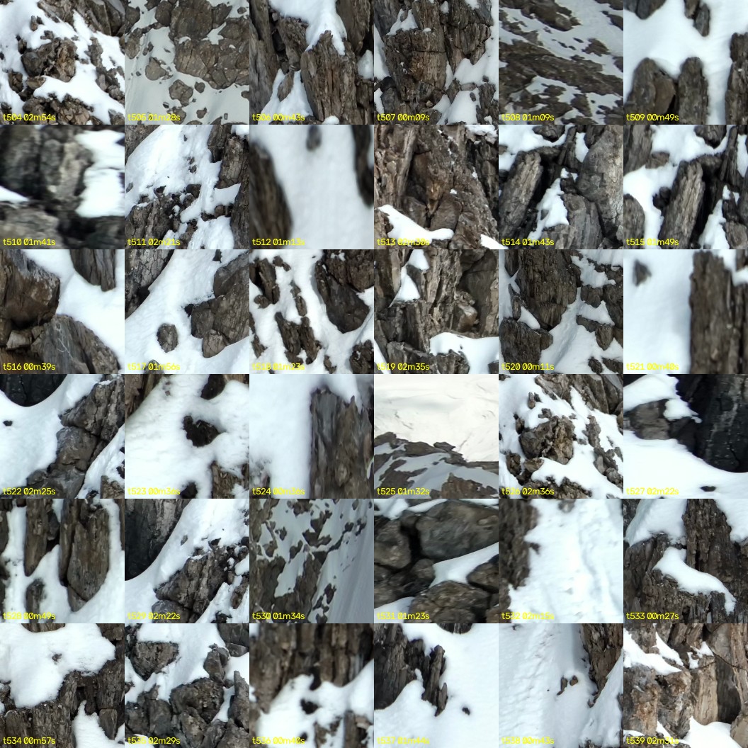 montage_14.jpg