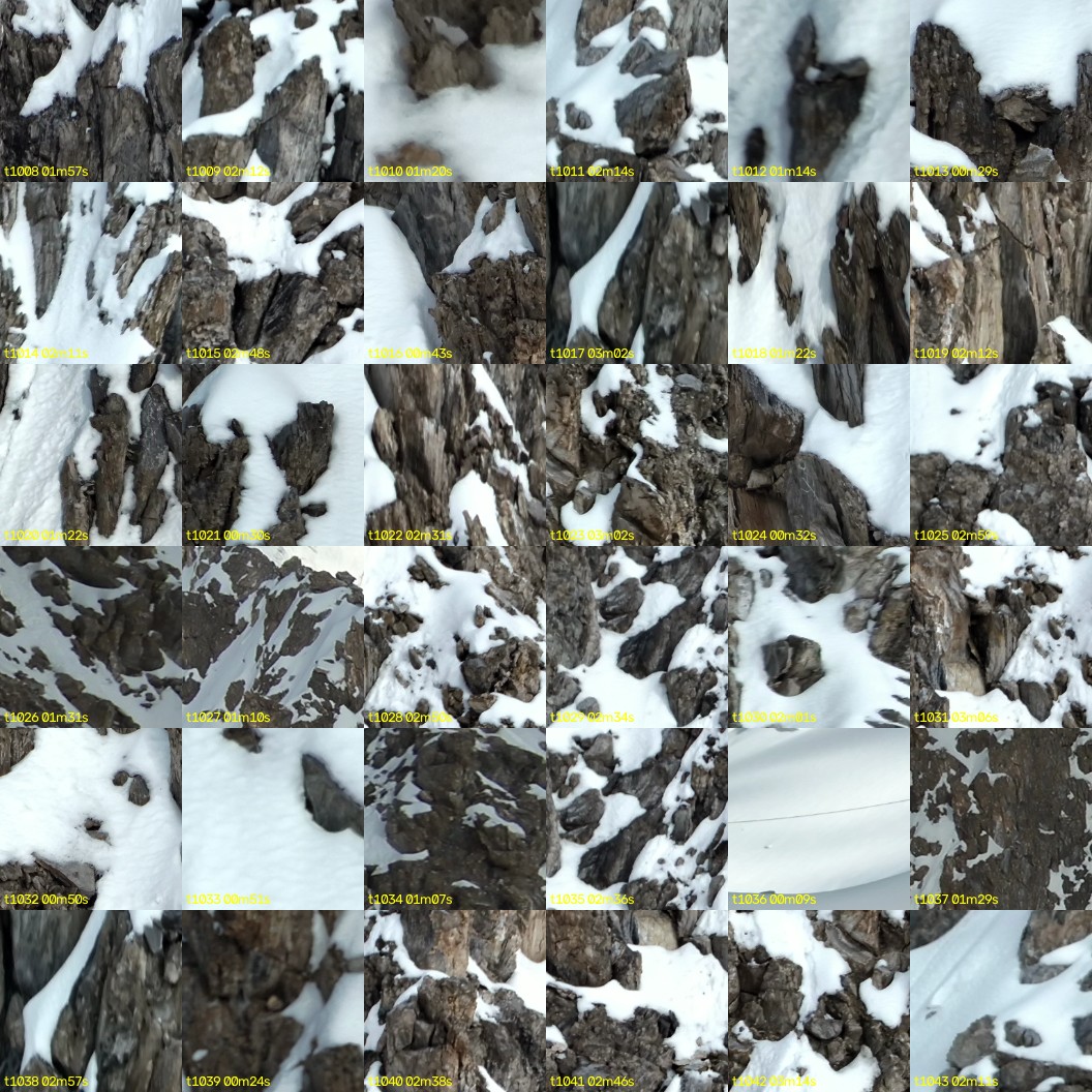 montage_28.jpg