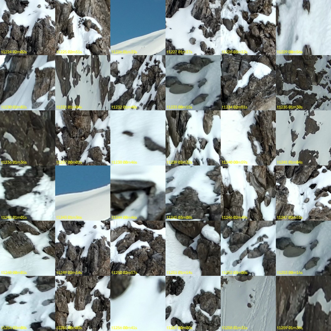 montage_34.jpg
