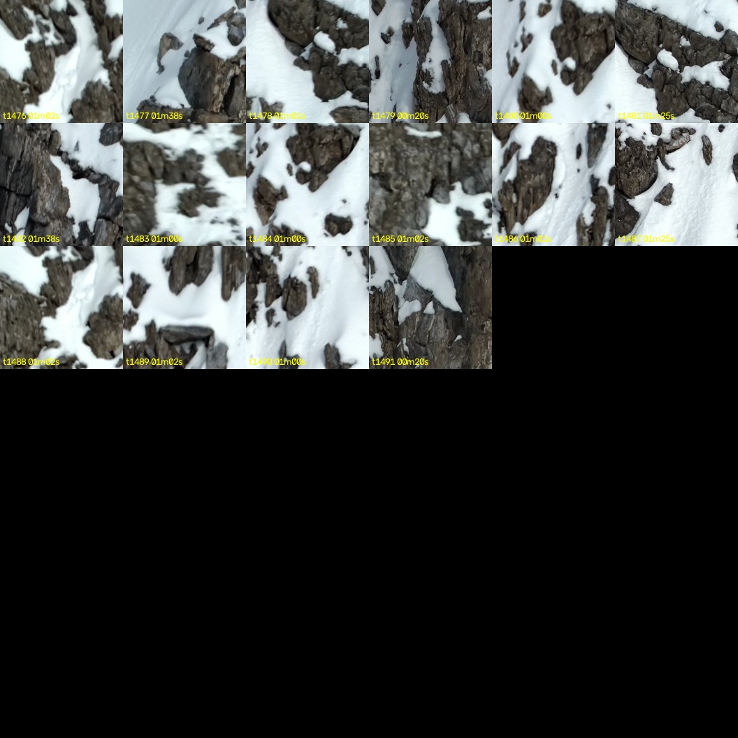 montage_41.jpg