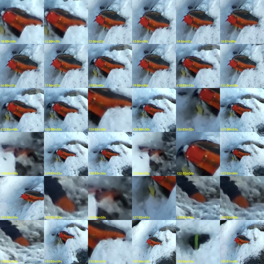 montage_00.jpg