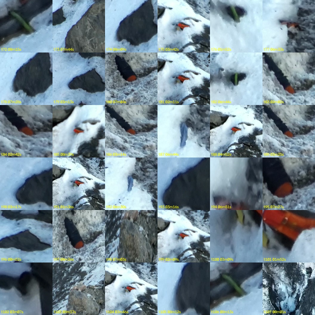 montage_02.jpg