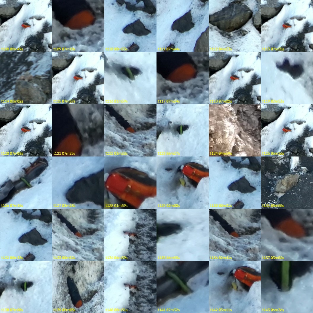 montage_03.jpg