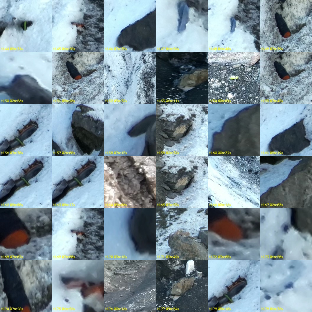 montage_04.jpg