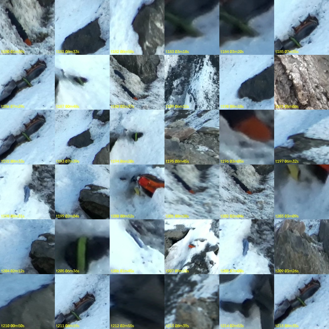 montage_05.jpg
