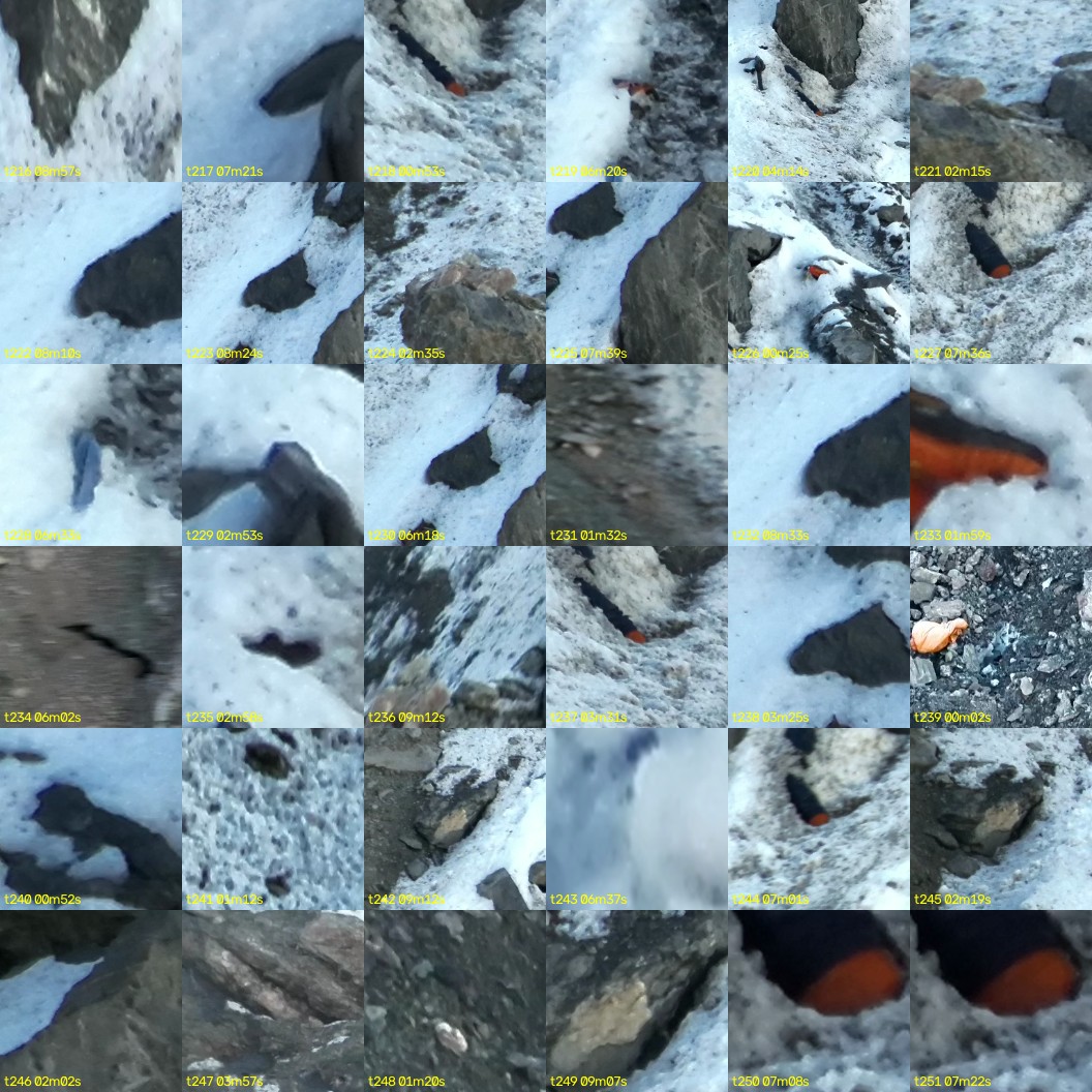montage_06.jpg