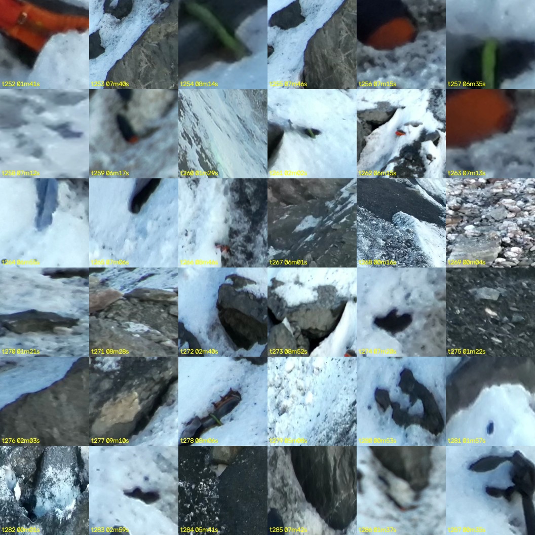 montage_07.jpg